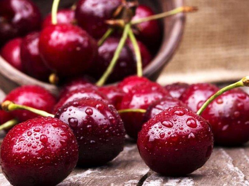 Вишня купить саженцы из питомника в Херсоне